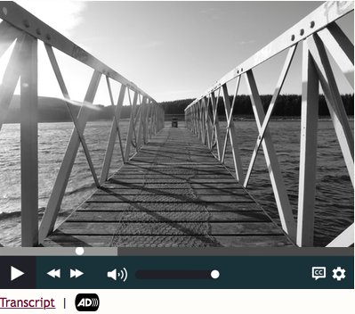 A media player is shown. In additon to the standard play/pause buttons, progress bar and volume, a closed captions (CC) button is available as well as links to a transcript and a version with audio description.